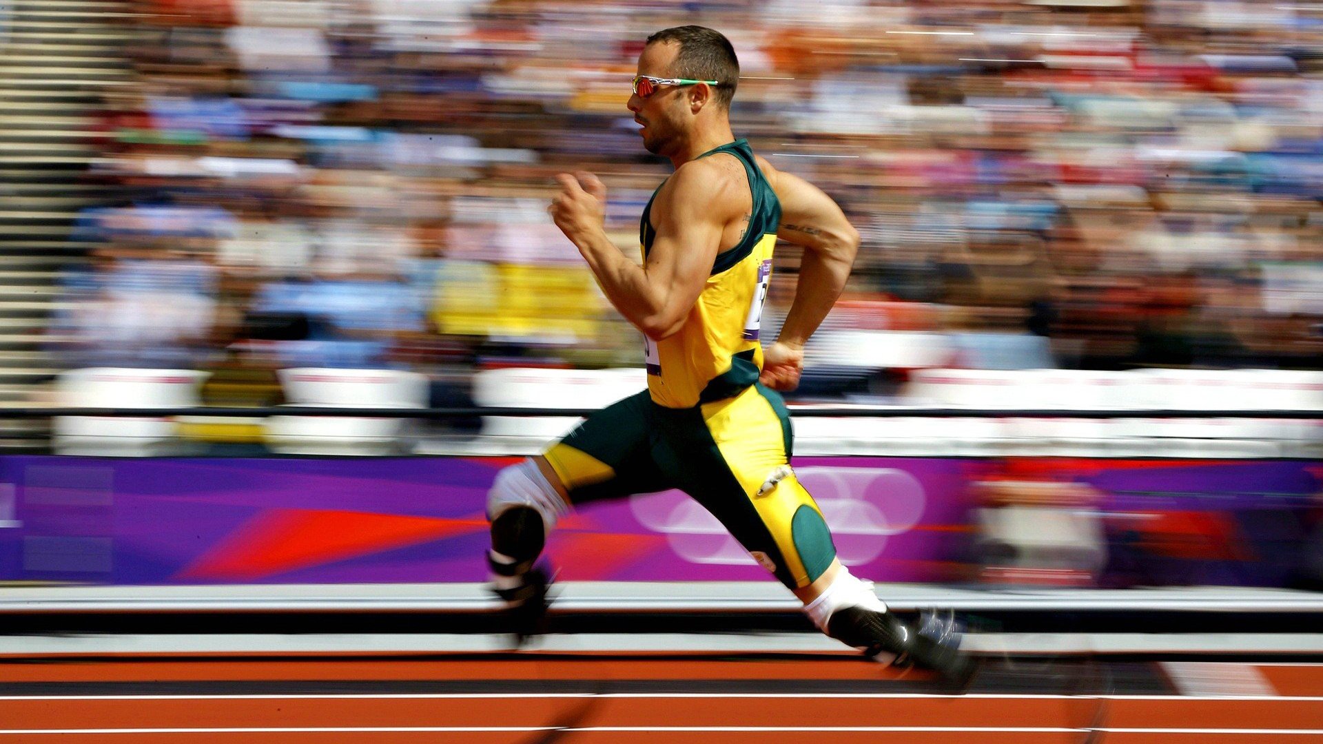 波兰乒乓队未来规划：通过精细化训练打造技术多样性，波兰乒乓球著名运动员